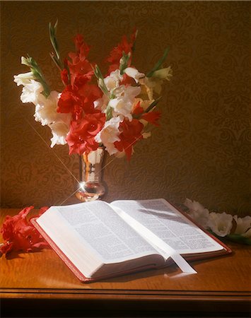 simsearch:846-03165636,k - SILVER VASE OF RED AND WHITE GLADIOLA FLOWERS WITH OPEN BIBLE TO BOOK OF MATTHEW Stock Photo - Rights-Managed, Code: 846-03165643