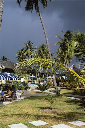 simsearch:846-03165791,k - 1970s CARIBBEAN RESORT HOTEL BEACH PALM TREE Stock Photo - Rights-Managed, Code: 846-03165838