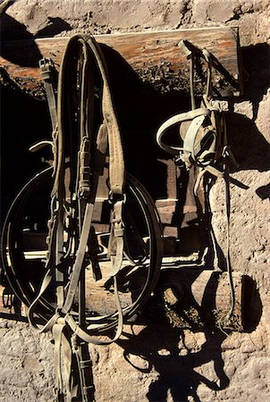 OLD LEATHER HORSE TACK BRIDLE & REINS HANGING ON WALL ARIZONA Stock Photo - Rights-Managed, Code: 846-03165863