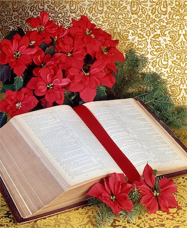 CHRISTMAS STILL LIFE OPEN BIBLE RED POINSETTIA Stock Photo - Rights-Managed, Code: 846-03166224