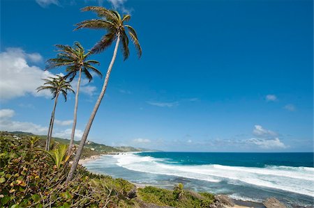simsearch:841-05796490,k - Bathsheba Beach, Barbados, Windward Islands, West Indies, Caribbean, Central America Stock Photo - Rights-Managed, Code: 841-05784903