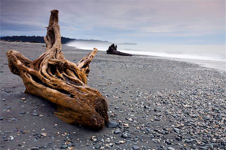 drift wood - Driftwood on Gillespies Beach, West Coast, South Island, New Zealand, Pacific Stock Photo - Rights-Managed, Code: 841-05785143