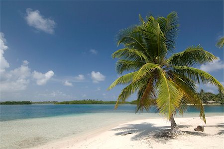 panama - Yandup Island, San Blas Islands (Kuna Yala Islands), Panama, Central America Stock Photo - Rights-Managed, Code: 841-05785414