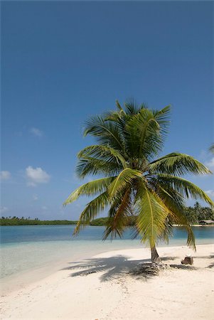 panama - Yandup Island, San Blas Islands (Kuna Yala Islands), Panama, Central America Stock Photo - Rights-Managed, Code: 841-05785413