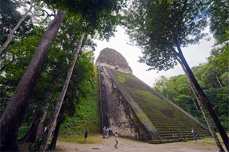 Tourists climbing a pyramid in the forest, Mayan ruins, Tikal, UNESCO World Heritage Site, Guatemala, Central America Foto de stock - Con derechos protegidos, Código: 841-05782524