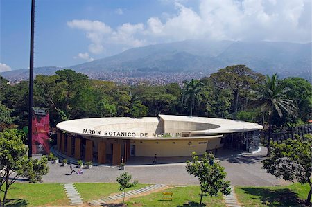 places in colombia - Jardin Botanico Joaquin Antonio Uribe (Botanical Gardens), Medellin, Colombia, South America Stock Photo - Rights-Managed, Code: 841-05782703