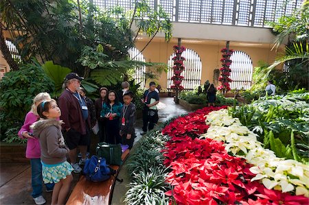 san diego - Botanical Building, Balboa Park, San Diego, California, United States of America, North America Stock Photo - Rights-Managed, Code: 841-05783166