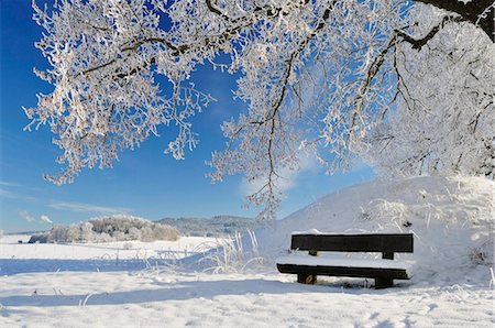 Winter landscape, near Villingen-Schwenningen, Black Forest-Baar (Schwarzwald-Baar) district, Baden-Wurttemberg, Germany, Europe Stock Photo - Rights-Managed, Code: 841-05783372