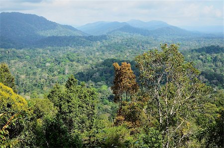 View of Taman Negara National Park from Bukit Teresek, Pahang, Malaysia,Southeast Asia, Asia Stock Photo - Rights-Managed, Code: 841-05783457