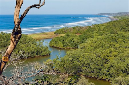 simsearch:400-04587823,k - Ostional Beach and the Reserva Biologica Nosara, a private nature reserve on the Nosara River, Nosara, Nicoya Peninsula, Guanacaste Province, Costa Rica, Central America Stock Photo - Rights-Managed, Code: 841-05795784