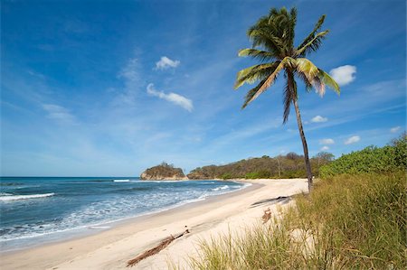Playa Pelada, Nosara, Nicoya Peninsula, Guanacaste Province, Costa Rica, Central America Stock Photo - Rights-Managed, Code: 841-05795790