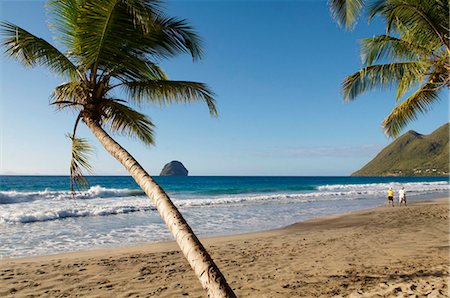 Beach and palm tree, Diamond, Martinique, French Overseas Department, Windward Islands, West Indies, Caribbean, Central America Stock Photo - Rights-Managed, Code: 841-05796475