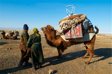 Nomadic transhumance with camel, Province of Khovd, Mongolia, Central Asia, Asia Stock Photo - Rights-Managed, Code: 841-05796504