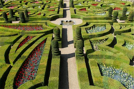 Formal garden at the Chateau de Villandry, UNESCO World Heritage Site, Loire Valley, Indre et Loire, France, Europe Stock Photo - Rights-Managed, Code: 841-05796816