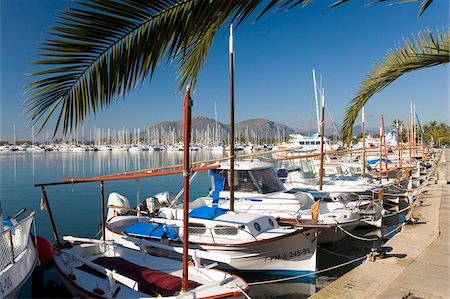simsearch:841-06445552,k - Traditional boats moored in the harbour, Port d'Alcudia, Mallorca, Balearic Islands, Spain, Mediterranean, Europe Stock Photo - Rights-Managed, Code: 841-05845885