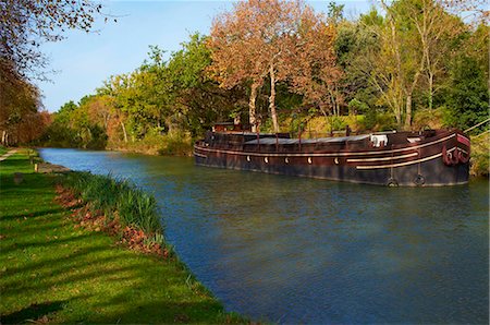 Yellow and red leaves in autumn along the Canal du Midi, UNESCO World Heritage Site, Aude, Languedoc-Roussillon, France, Europe Stock Photo - Rights-Managed, Code: 841-05847596