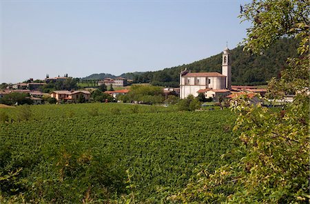 simsearch:841-07590142,k - Village church and vineyard near Parma, Emilia Romagna, Italy, Europe Stock Photo - Rights-Managed, Code: 841-05847945