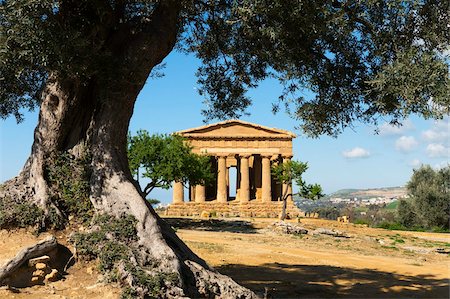 simsearch:841-07523215,k - Tempio di Concordia (Concord), Valle dei Templi, UNESCO World Heritage Site, Agrigento, Sicily, Italy, Europe Foto de stock - Con derechos protegidos, Código: 841-05848671