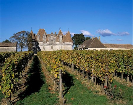 simsearch:841-08860890,k - Chateau de Monbazillac and vineyard near Bergerac, Dordogne, Aquitaine, France, Europe Stock Photo - Rights-Managed, Code: 841-05848750