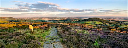 The sun rises over the Cleveland Way and Whorl Hill near Faceby, North Yorkshire Moors, Yorkshire, England, United Kingdom, Europe Stock Photo - Rights-Managed, Code: 841-05848839