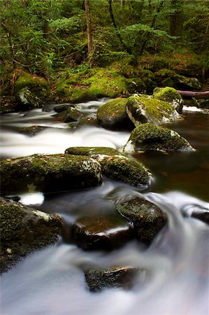 simsearch:841-06030590,k - River Teign, Dartmoor National Park, Devon, England, United Kingdom, Europe Stock Photo - Rights-Managed, Code: 841-05960443