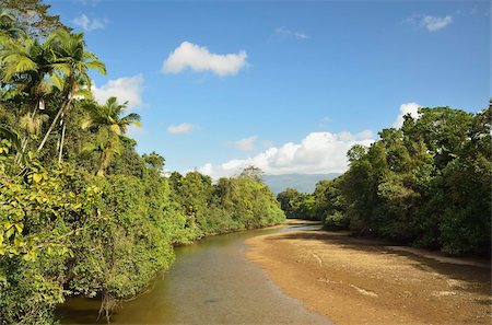 simsearch:841-05960849,k - Daintree River, Daintree National Park, UNESCO World Heritage Site, Queensland, Australia, Pacific Stock Photo - Rights-Managed, Code: 841-05960838