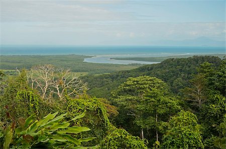 simsearch:841-05960849,k - View of Mount Alexandra and Coral Sea, Daintree National Park, UNESCO World Heritage Site, Queensland, Australia, Pacific Stock Photo - Rights-Managed, Code: 841-05960839