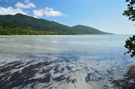 simsearch:841-05960849,k - Myall Beach, Daintree National Park, UNESCO World Heritage Site, Queensland, Australia, Pacific Stock Photo - Rights-Managed, Code: 841-05960845