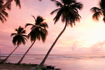 simsearch:841-06034119,k - Tropical sunset, Bridgetown, Barbados, West Indies, Caribbean, Central America Stock Photo - Rights-Managed, Code: 841-05961532