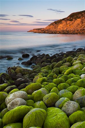 simsearch:841-06030590,k - Algae covered rocks at sunrise at Church Ope Cove, Portland, Jurassic Coast, UNESCO World Heritage Site, Dorset, England, United Kingdom, Europe Stock Photo - Rights-Managed, Code: 841-05962038