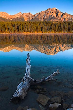 simsearch:841-07590044,k - Early morning sunshine glows on Pyramid Mountain, its reflection mirrorlike in Patricia Lake, Jasper National Park, UNESCO World Heritage Site, Alberta, Rocky Mountains, Canada, North America Stock Photo - Rights-Managed, Code: 841-05962060