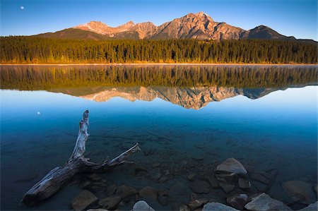 simsearch:841-07590044,k - The moon over Patricia Lake at dawn, Jasper National Park, UNESCO World Heritage Site, Alberta, Rocky Mountains, Canada, North America Stock Photo - Rights-Managed, Code: 841-05962125