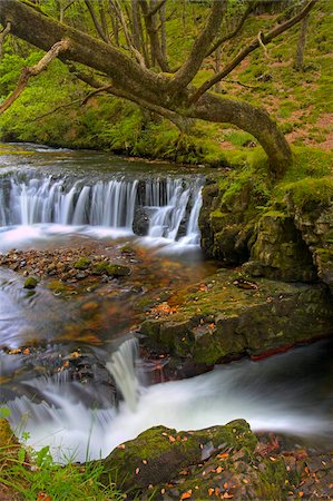simsearch:841-06031530,k - Horsehoe Falls in the Brecon Beacons National Park, Powys, Wales, United Kingdom, Europe Stock Photo - Rights-Managed, Code: 841-05962252