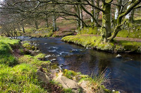 simsearch:841-06031530,k - Oare Water running through the Exmoor countryside, near Robbers Bridge, Exmoor National Park, Somerset, England, United Kingdom, Europe Stock Photo - Rights-Managed, Code: 841-05962503