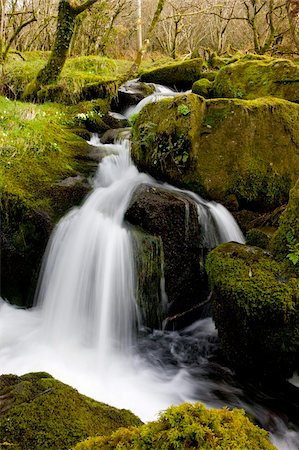 simsearch:841-06031530,k - Babbling brook in a mossy wood, Dartmoor National Park, Devon, England, United Kingdom, Europe Stock Photo - Rights-Managed, Code: 841-05962526