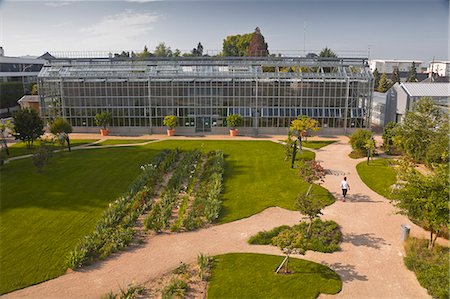 The huge greenhouse in the Jardins Botanique (Botanical Gardens), Tours, Indre et Loire, Centre, France, Europe Stock Photo - Rights-Managed, Code: 841-06034287