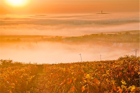 The vineyards of Sancerre during a heavy autumn mist, Cher, Centre, France, Europe Foto de stock - Con derechos protegidos, Código: 841-06034329