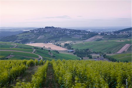 The vineyards of Sancerre before sunrise, Cher, Loire Valley, Centre, France, Europe Stock Photo - Rights-Managed, Code: 841-06034415