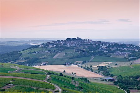 Looking across the vineyards of Sancerre, Cher, Loire Valley, Centre, France, Europe Stock Photo - Rights-Managed, Code: 841-06034416