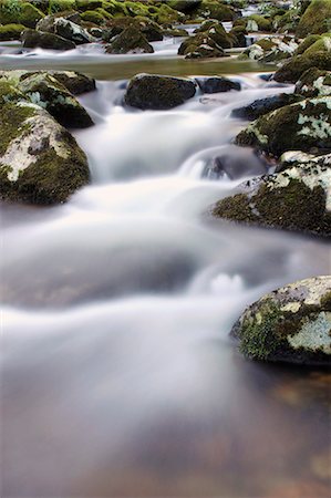 simsearch:841-06030590,k - River Teign, Dartmoor National Park, Devon, England, United Kingdom, Europe Stock Photo - Rights-Managed, Code: 841-06030588