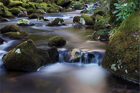 dartmoor national park - River Teign, Dartmoor National Park, Devon, England, United Kingdom, Europe Stock Photo - Rights-Managed, Code: 841-06030589