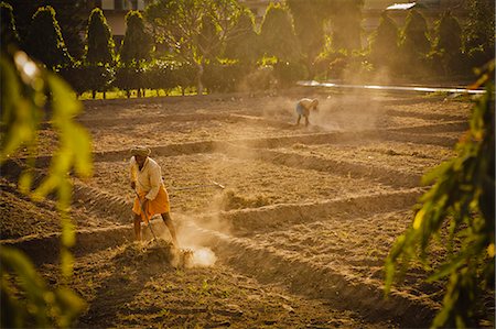 rishikesh - Gardener cleaning paddy fields in Swarg ashram, Rishikesh, Uttaranchal, India, Asia Stock Photo - Rights-Managed, Code: 841-06030841