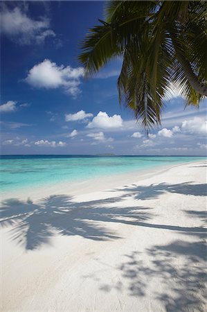 scenic and tropical - Tropical beach, Maldives, Indian Ocean, Asia Stock Photo - Rights-Managed, Code: 841-06031403