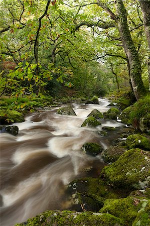 simsearch:841-06031530,k - River Plym flowing through Dewerstone Wood, Dartmoor, Devon, England, United Kingdom, Europe Stock Photo - Rights-Managed, Code: 841-06031548