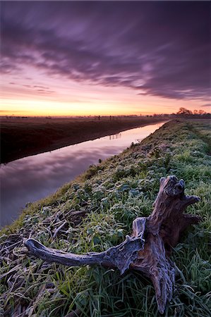 frost - Frosty dawn beside the River Brue near Glastonbury, Somerset Levels, Somerset, England, United Kingdom, Europe Stock Photo - Rights-Managed, Code: 841-06031570