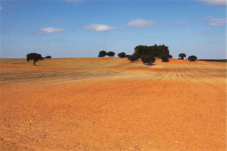 A field of orange-red earth, typical of rural land of the region, close to Mertola in the Alentejo, Portugal, Europe Stock Photo - Rights-Managed, Code: 841-06032615