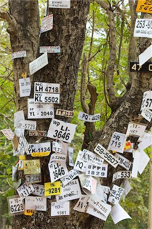 Vehicle numbers of pilgrims pinned to a tree in this sacred town, popular with all religions, Kataragama, South East, Sri Lanka, Asia Stock Photo - Rights-Managed, Code: 841-06032729