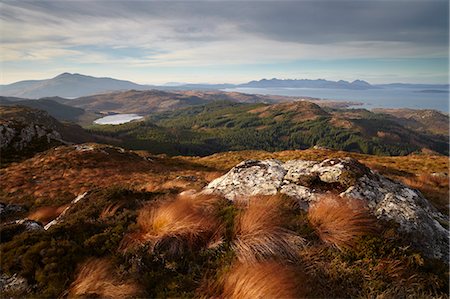 View towards the Isle of Skye from Plockton Crags, Plockton, Ross Shire, Scotland, United Kingdom, Europe Stock Photo - Rights-Managed, Code: 841-06033035