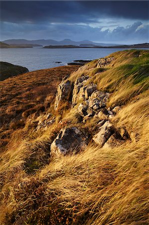 The view across Loch Bracadale and towards MacLeods Tables from Ardtreck point, Isle of Skye, Inner Hebrides, Scotland, United Kingdom, Europe Stock Photo - Rights-Managed, Code: 841-06033039