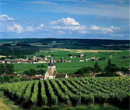 simsearch:841-08860890,k - Champagne vineyards, Ville-Dommange, near Reims, Champagne, France, Europe Stock Photo - Rights-Managed, Code: 841-06033449